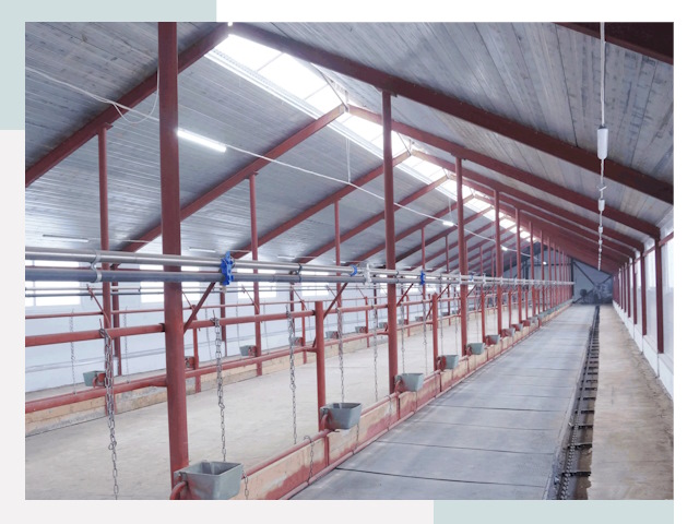 Строительство коровников в Кузнецке от 625 руб.