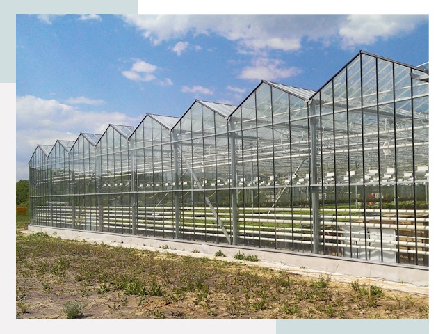 Строительство теплиц в Кузнецк от 625 руб. за м²