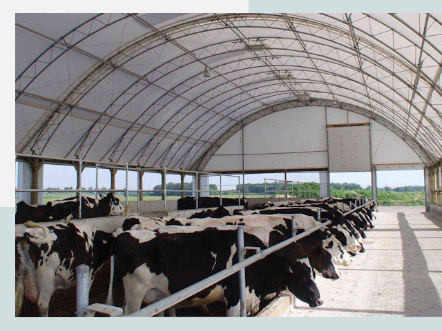 Тентовые коровники в Кузнецке